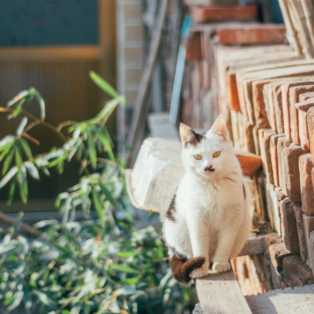 [속보] 장동혁 "李 대통령 '다주택자 집 팔면 시장 안정'은 기적의 억지"