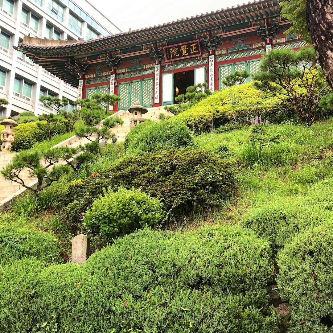 차바이오FC 반려동물 영양제 '펫세븐 장 케어 유산균' 출시와 그 의미