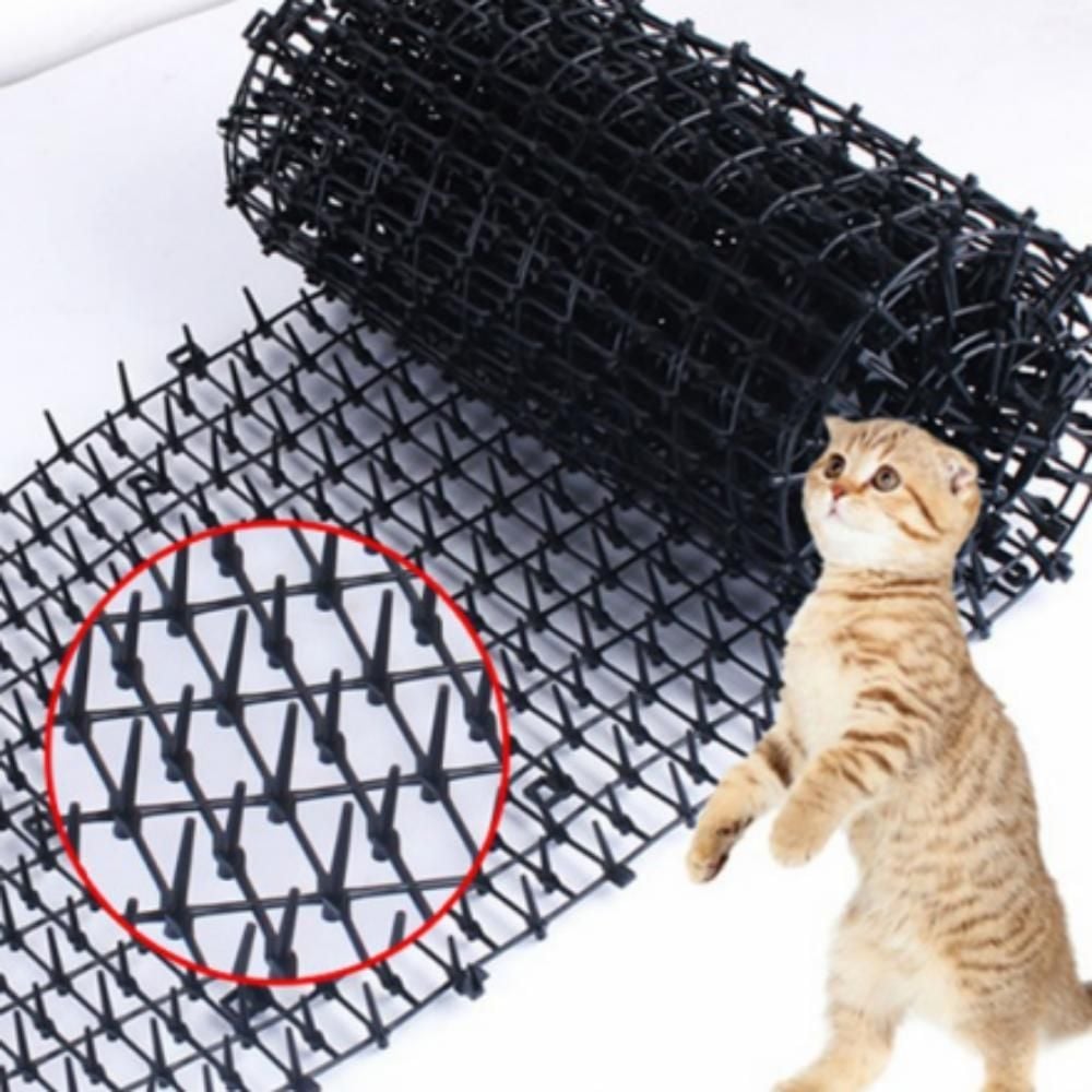 [리뷰] 접근 방지 패드 매트 고양이 비둘기 퇴치 애견 블랙-200cm 비교·체크리스트 가이드