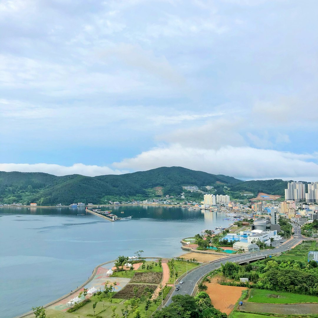6월27일 반려동물 쇼핑노트 | 코코브라운·베이킹소다·탈취제·바론·이지풋프로 구매 체크